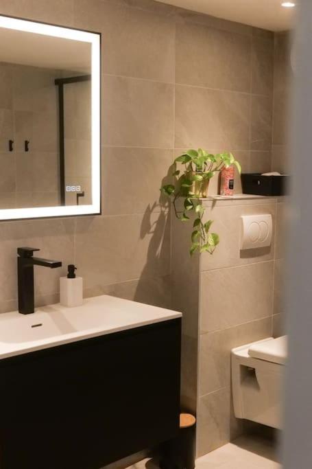 Hypercentre Rue Pietonne Au Calme Apartment Toulouse Exterior foto